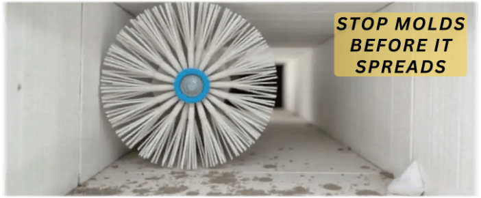 Air Duct Mold Removal in Leesburg VA