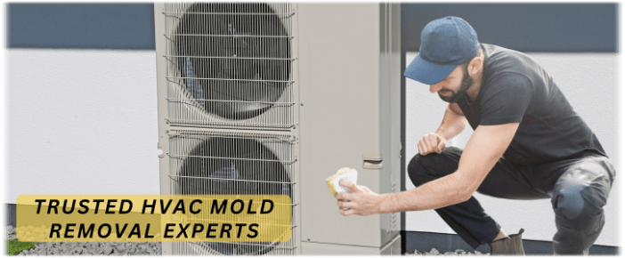 HVAC Mold Removal Leesburg VA